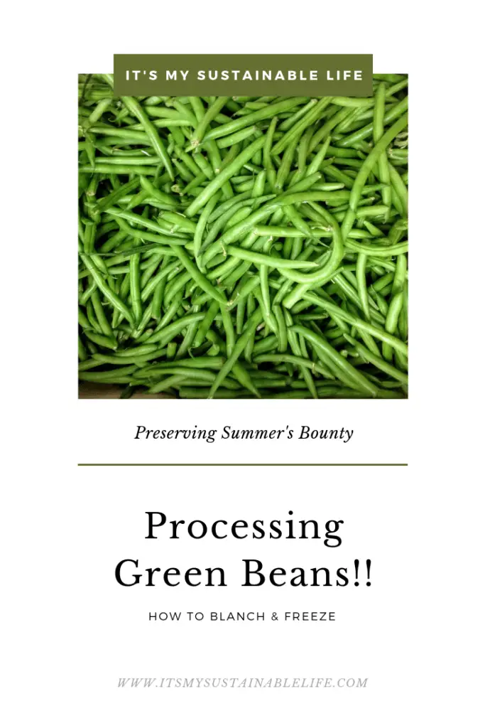 Preserving Green Beans! How To Blanch & Freeze In Your Foodsaver pinnable image for Pinterest