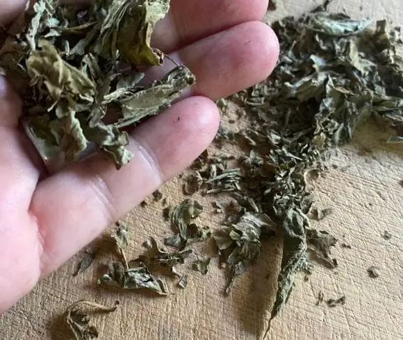 How To Dry Basil image showing hand holding dried basil leaves with crushed basil leaves in the background laying on a wooden board