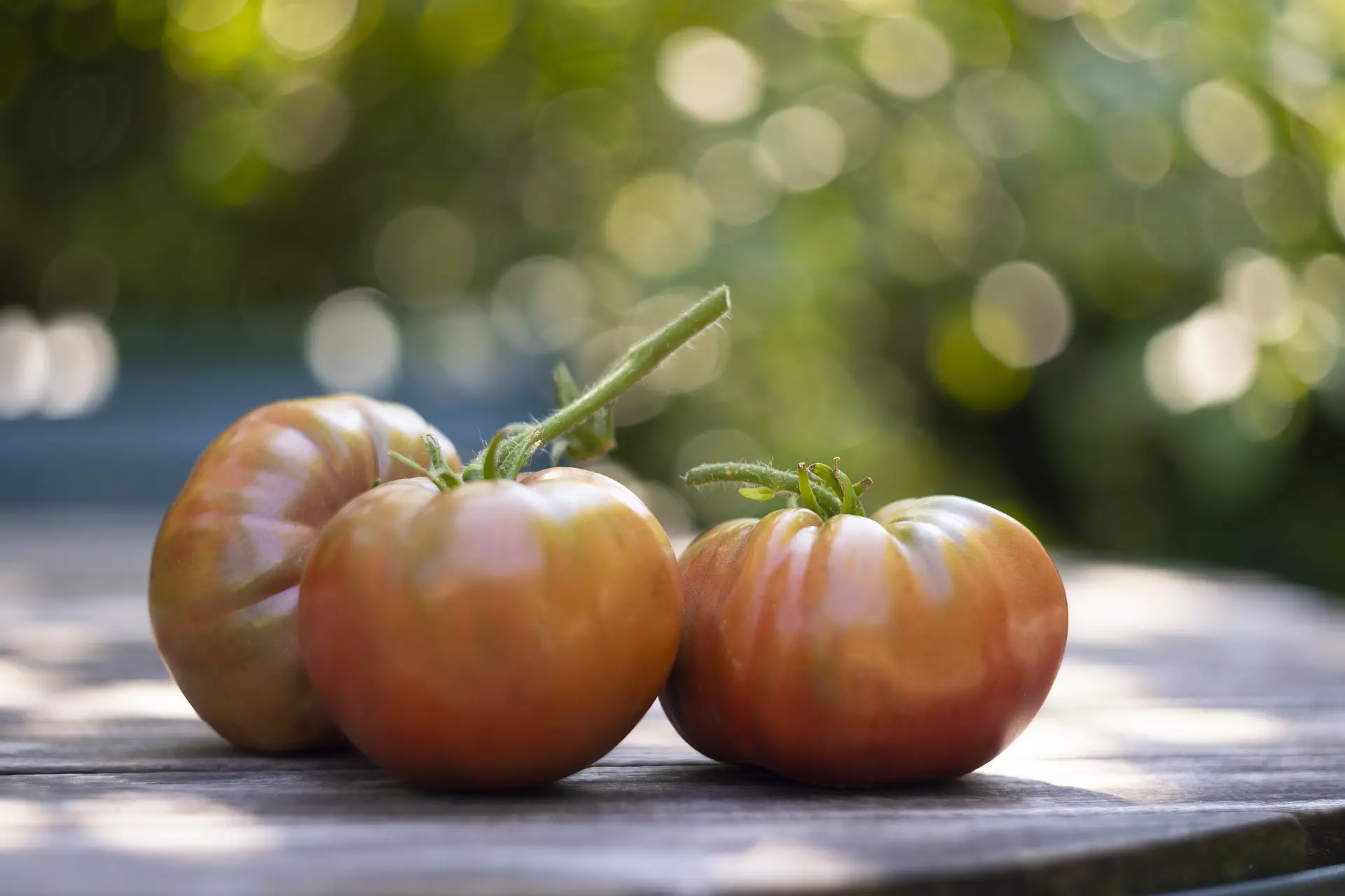It's My Favorite Time Of Year: Buying Heirloom Seeds! 3 beautiful tomatoes