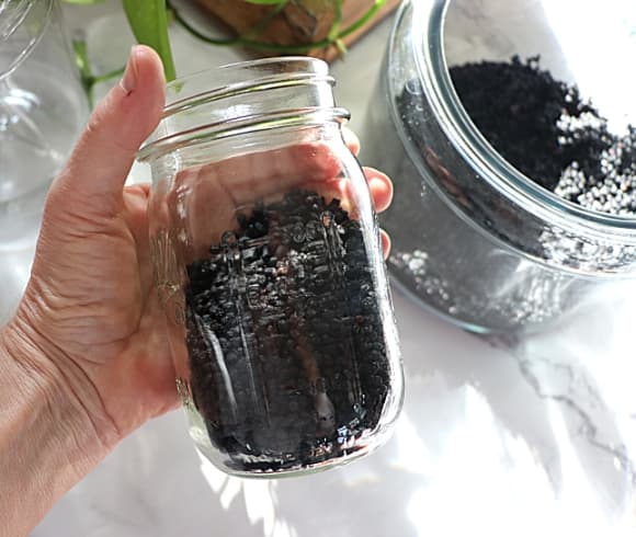 Elderberry tincture image showing mason jar filled halfway with dried elderberry being held by hand