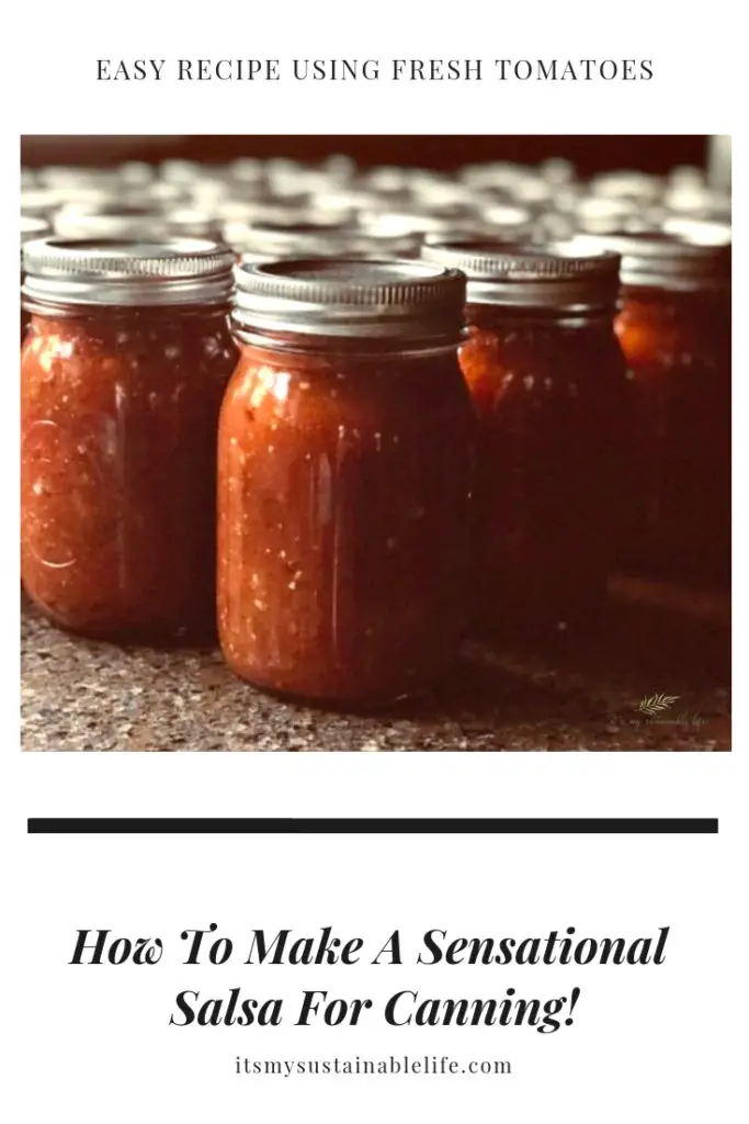 How To Make A Sensational Salsa For Canning pinnable image for Pinterest