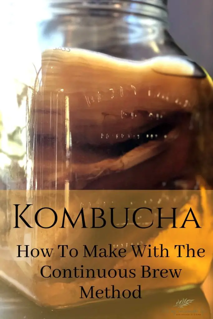 Kombucha Kraziness! How To Make The Continuous Brew Method pin for Pinterest