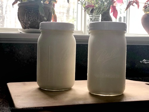 Yogurt Jars Cooling