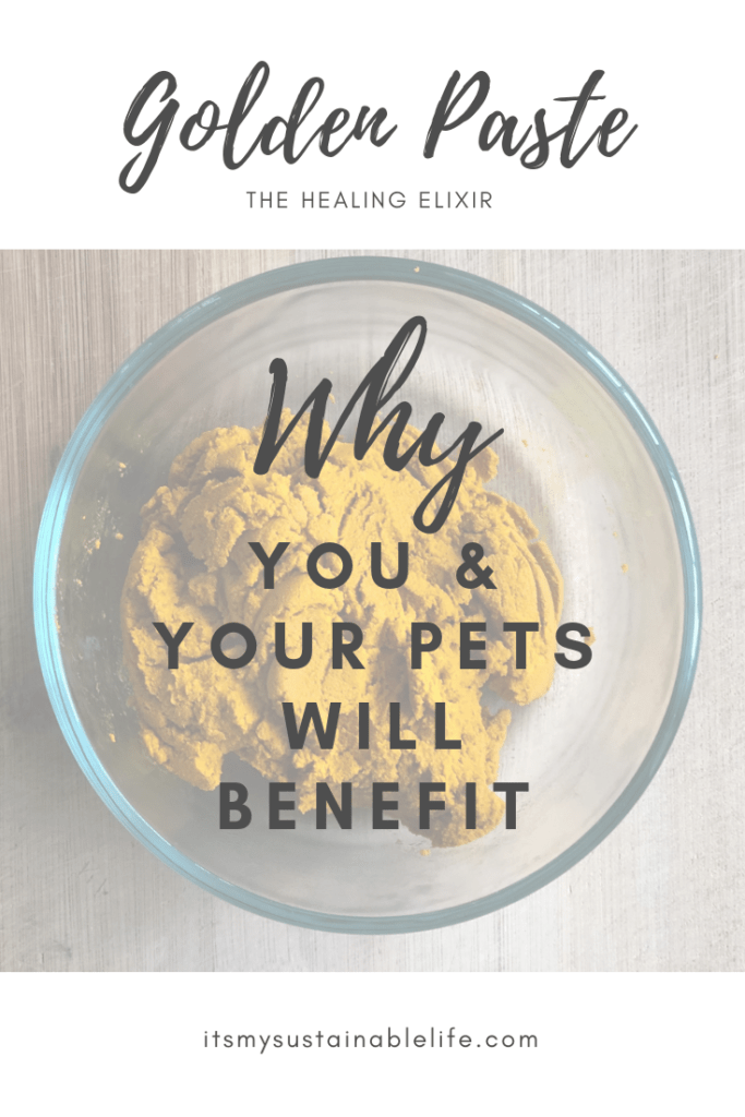 Golden Paste! 10 Reasons Why You & Your Pet Will Benefit pin made for Pinterest showing top view of bowl of prepared turmeric paste or golden paste