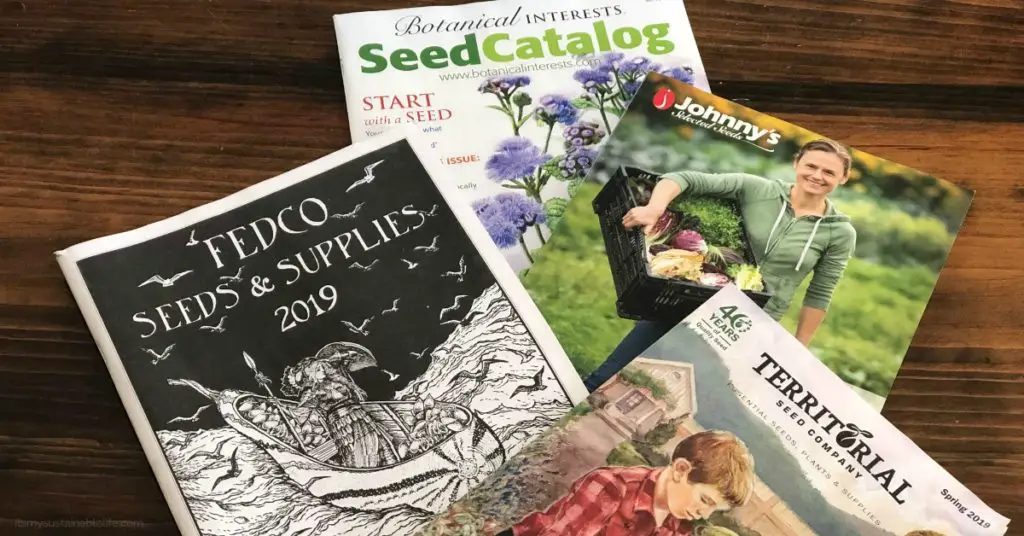 It's My Favorite Time of Year! Buying Heirloom Seeds