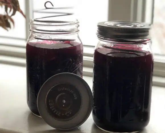 The Craft of Fermenting Food In A Mason Jar