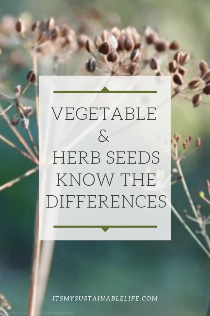 Vegetable & Herb Seeds - Know The Differences pin for Pinterest