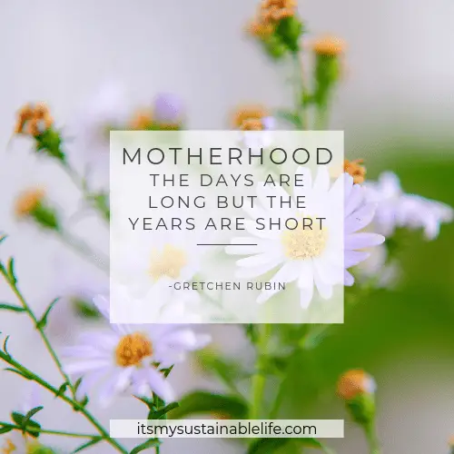 21 Unforgettable Quotes For Mothers days long years short quote