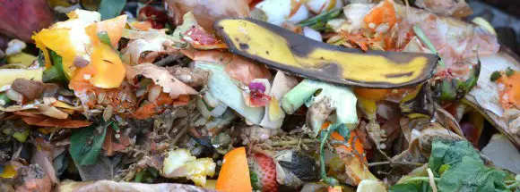 Changes You Can Make Today To Help Save The Environment food waste