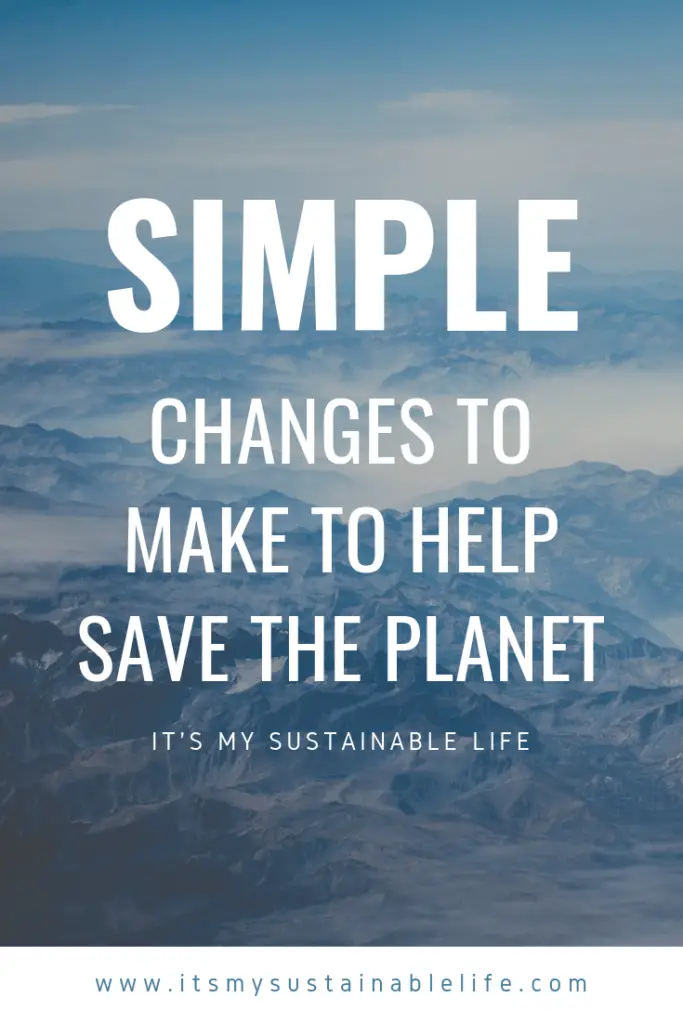 Changes You Can Make Today To Help Save The Environment pin image for Pinterest