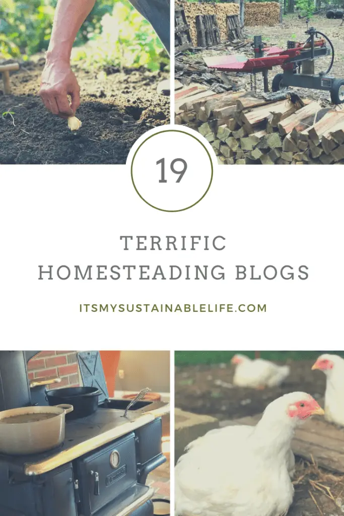 19 Terrific Homesteading Blogs You Don't Want To Miss pin for Pinterest