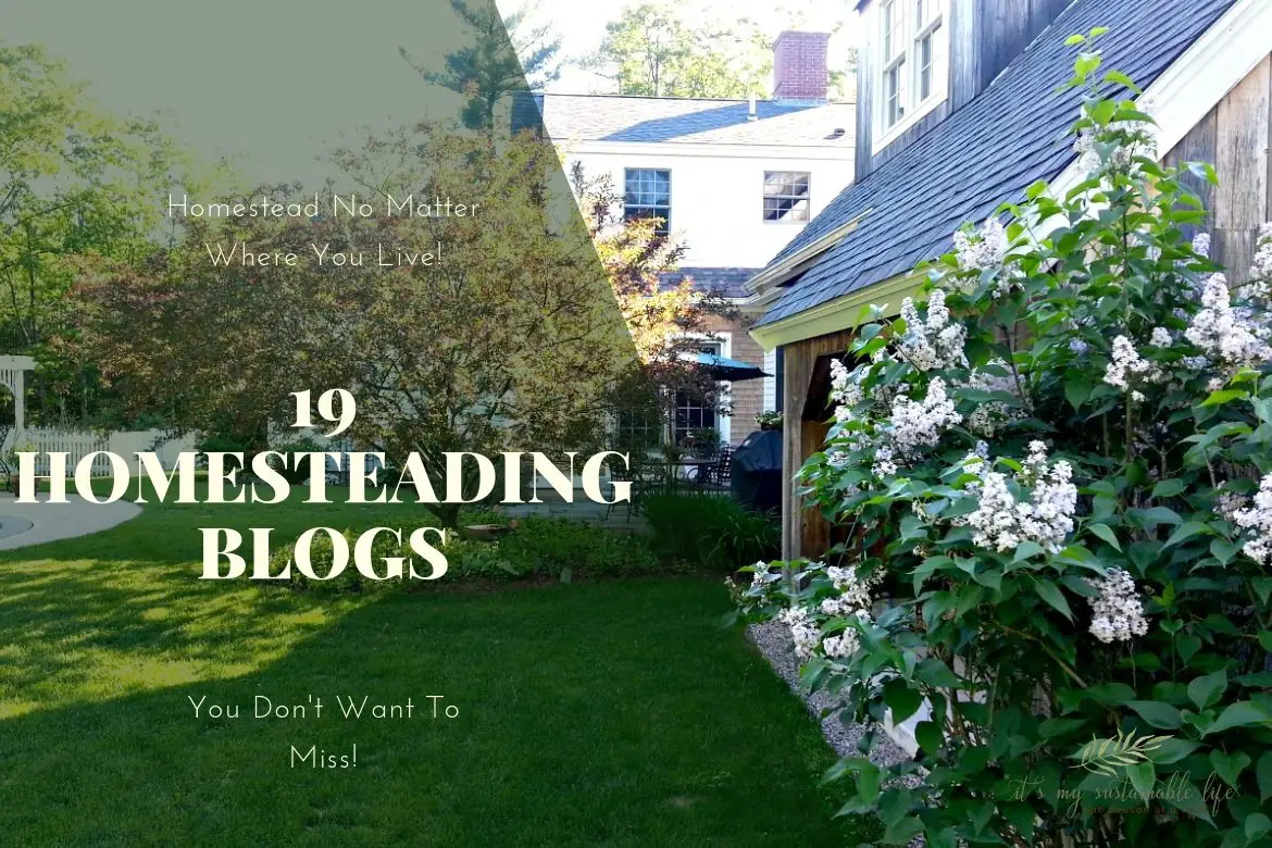 19 Homesteading Blogs You Don’t Want To Miss 19 Homesteading Blogs You Don't Want To Miss image of beautiful homestead