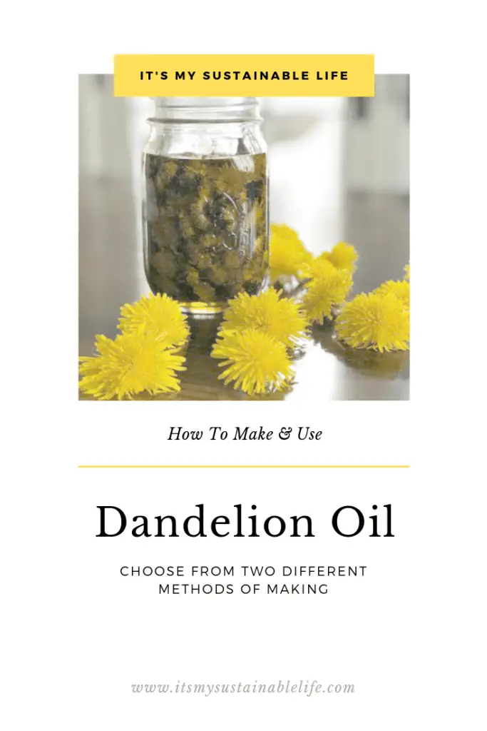 Dandelion Oil how to make using two different methods pinnable image