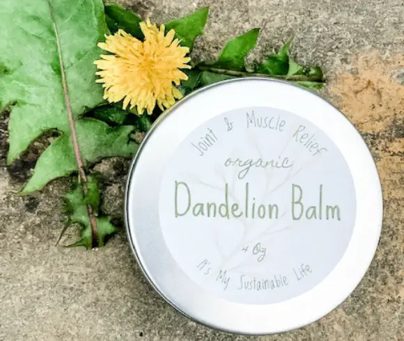 Dandelion Balm 4 oz tin display