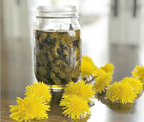 Time method of making dandelion infused oil