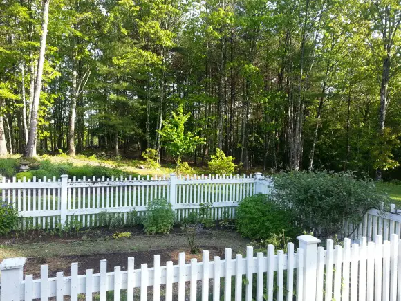 Herb Bed! Recreating A Loved Space image of original herb bed design with fencing