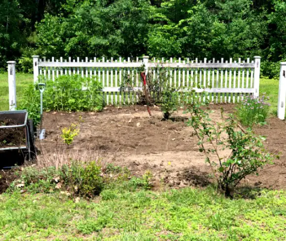 Herb Bed! Recreating A Loved Space beginning image