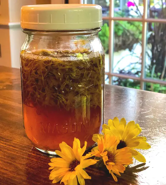 19 Uses For Calendula Tea brewed tea to enjoy