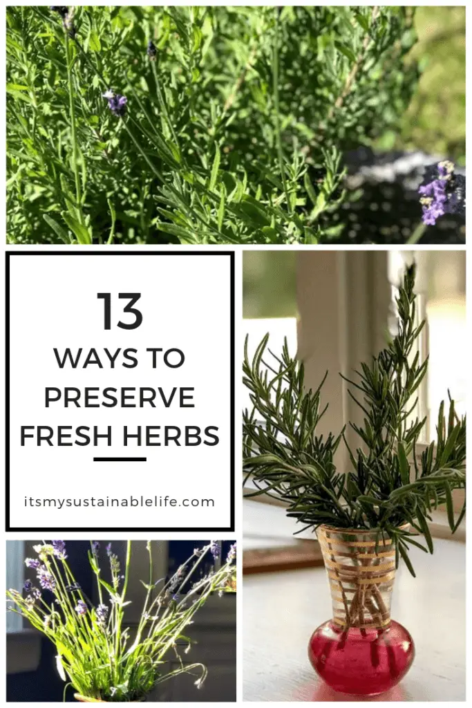 13 Ways To Preserve Fresh Herb pin image for Pinterest