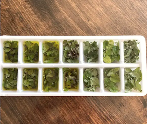 13 Ways To Preserve Fresh Herbs cut up herbs in ice cube tray to freeze with olive oil or water