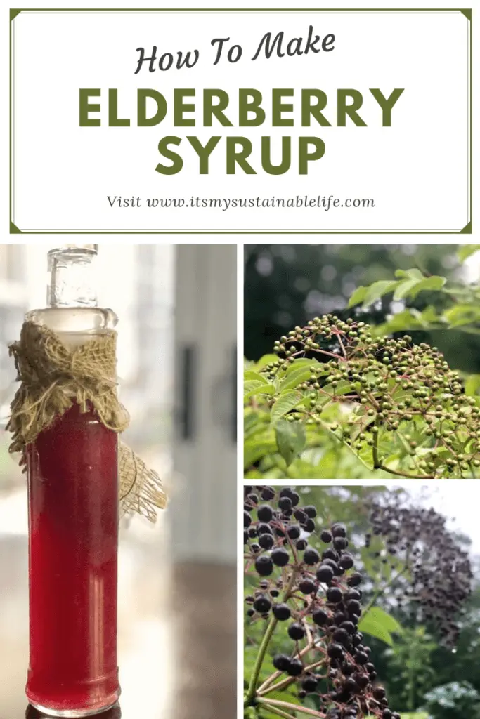 Elderberry Syrup (A Robust Cold & Flu Remedy) image for Pinterest