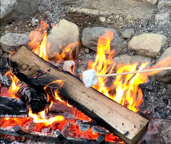 Homemade Marshmallows roasting over open firepit