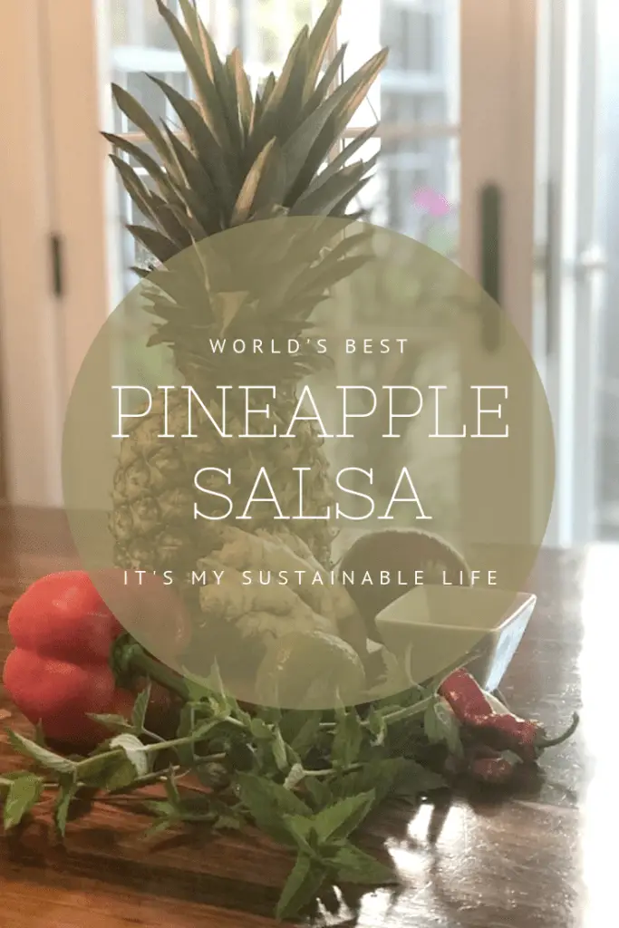 Best Pineapple Salsa Recipe pinnable image for Pinterest