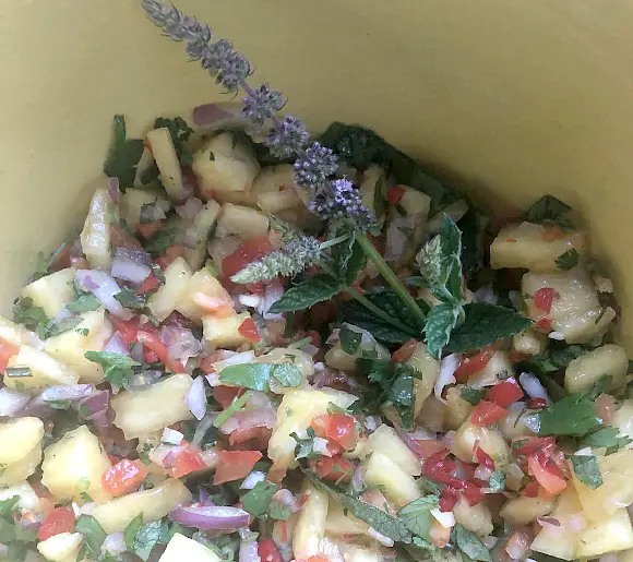 Best Pineapple Salsa Recipe all ingredients mixed in bowl
