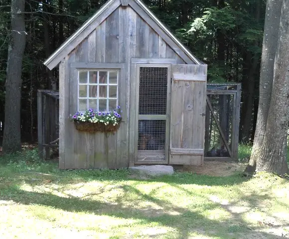 Why We Should DIY - Getting To The Root Of It front of chicken house