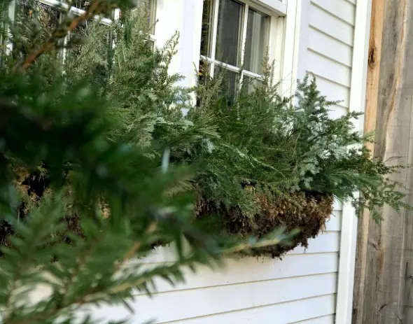 How To Decorate Outdoor Hangers For Winter closeup of wall hangers filled with greenery