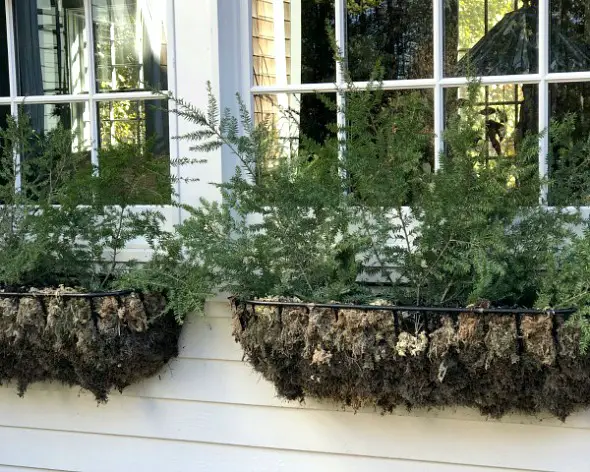 How To Decorate Outdoor Hangers For Winter beginning stages of adding greenery to outdoor wall hangers