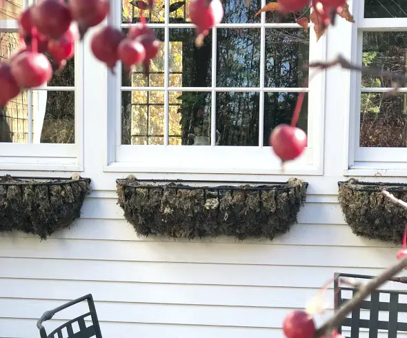 How To Decorate Outdoor Hangers For Winter image of empty wall hangers ready to be filled with greenery