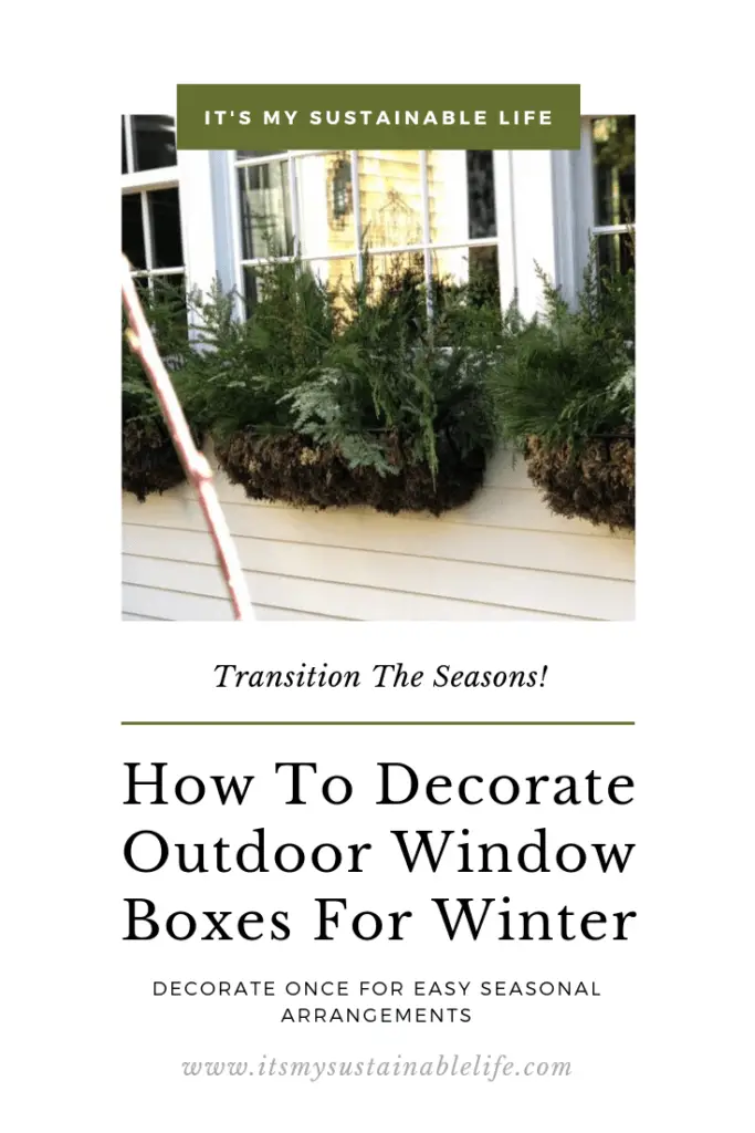 How To Decorate Outdoor Window Boxes For Winter pinnable image for Pinterest