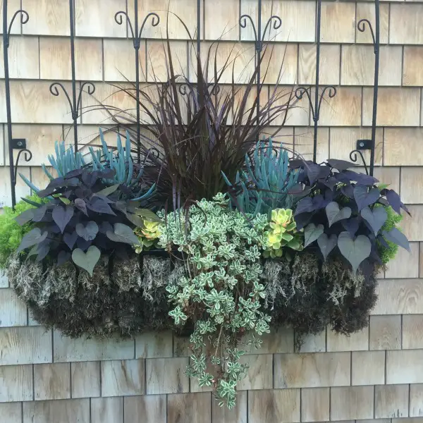 How To Decorate Outdoor Hangers For Winter example of filled hanging wall planter from summer growth