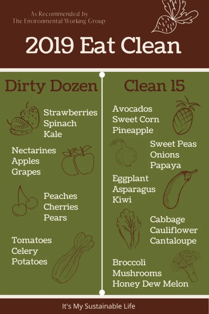 Homemade Natural Fruit And Veggie Wash dirty dozen and clean 15 list pin for Pinterest
