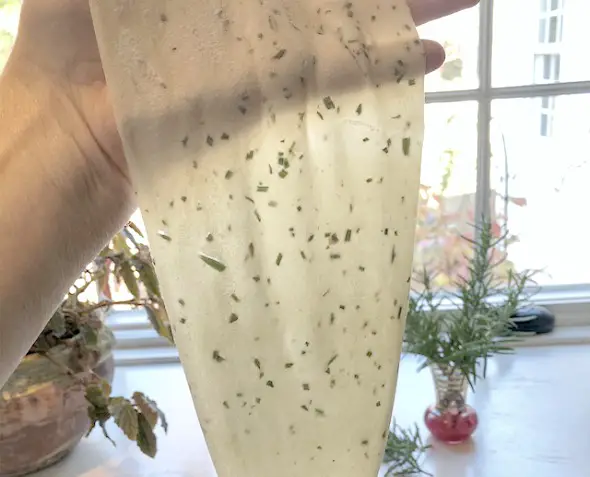 Easy Homemade Flatbread Crackers dough being held up to the light to display how thin they need to be