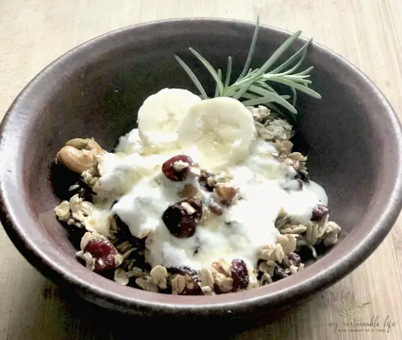 Homemade Healthy Granola image of homemade yogurt with homemade granola
