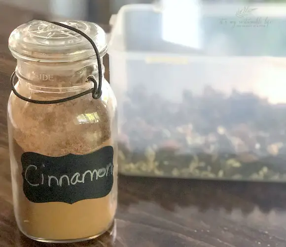 Homemade Healthy Granola image of jar of cinnamon and container of granola ingredients
