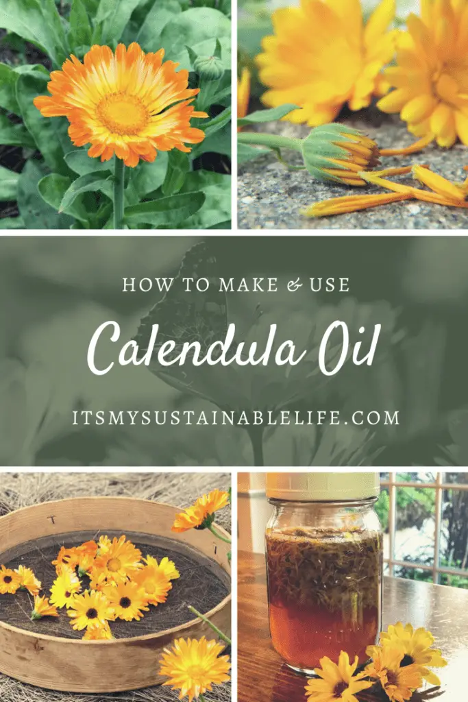 How To Make & Use Calendula Oil pin for Pinterest