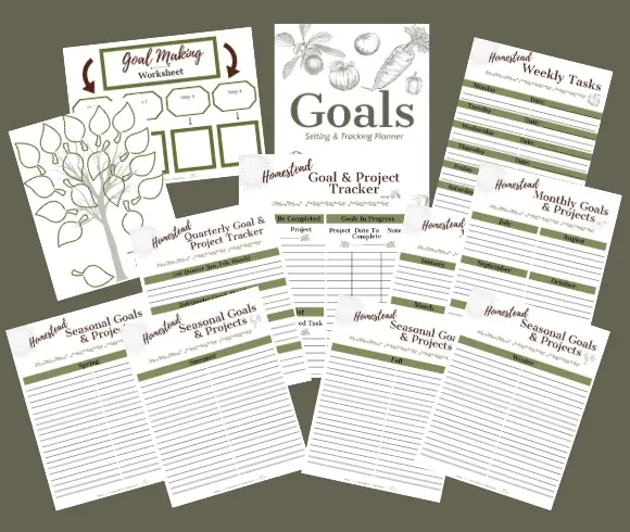Goal Setting & Tracking image showing 12 printable sheets in a set