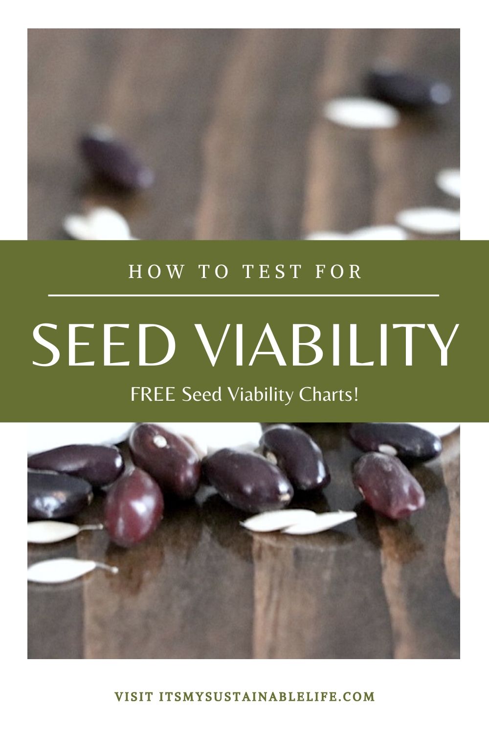 How To Test Seeds for Viability & Seed Viability Chart