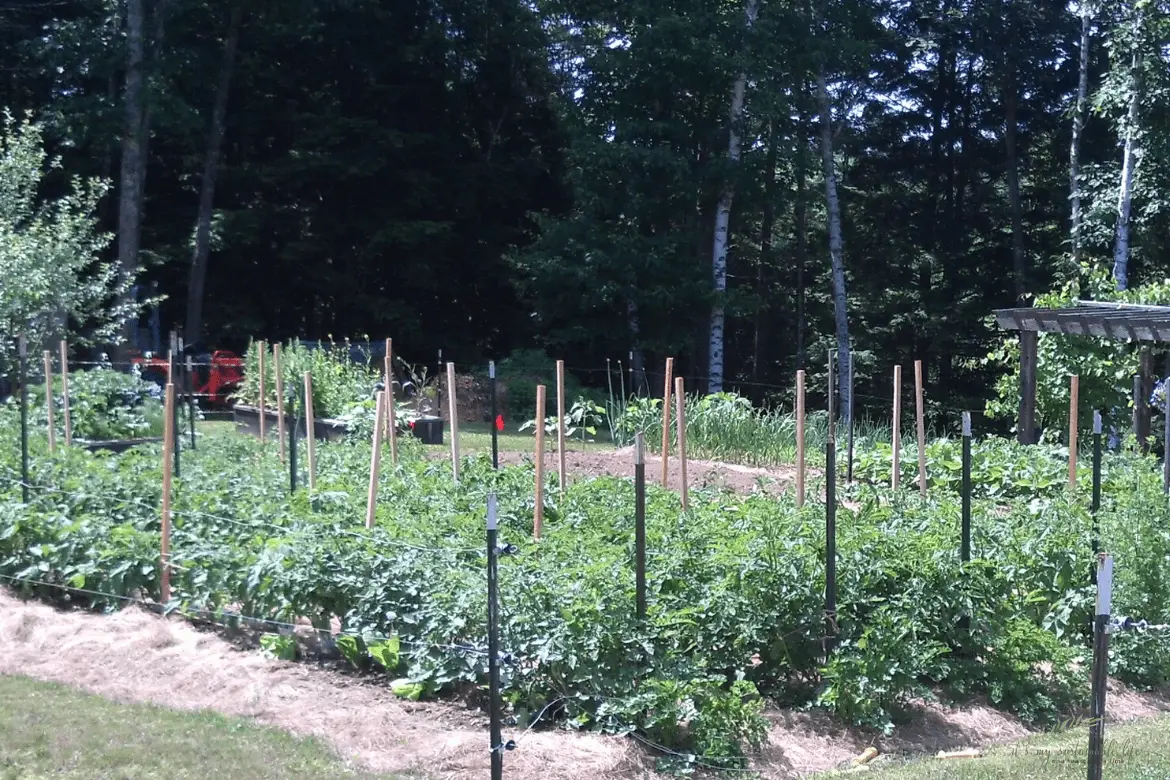Time Management – Organizing The Homestead Series