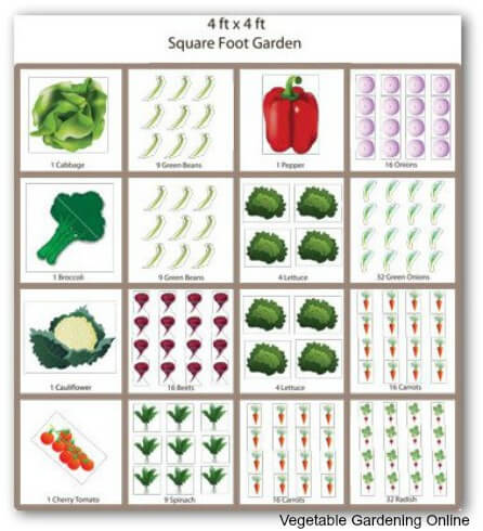 Vegetable Gardening Determining Your Style square foot garden style layout example