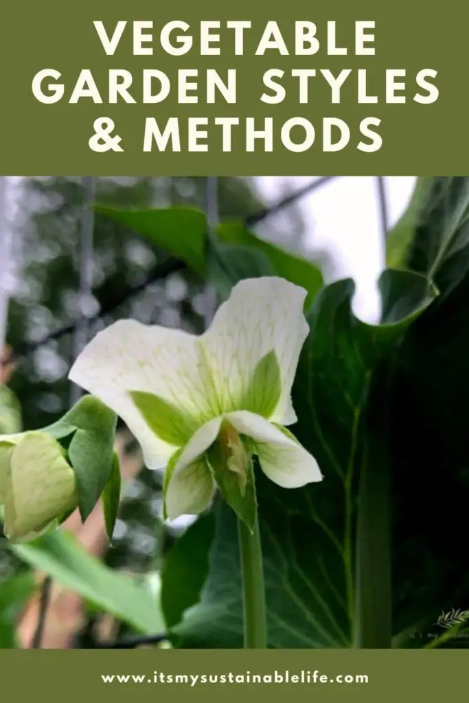 Vegetable Gardening Styles & Methods pin created for Pinterest showing pea blossom growing vertically