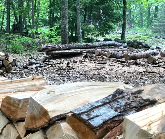 49 Ways To Become More Self-Sufficient image of woodlot processing wood
