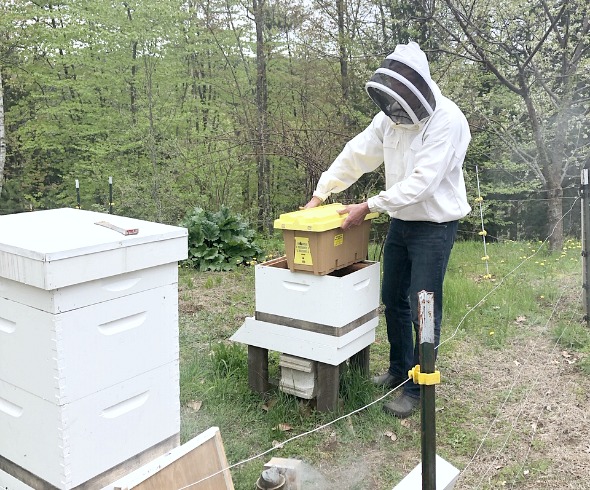 49 Ways To Become More Self-Sufficient image of beekeeper installing bees into a hive