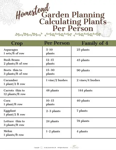 How To Grow What You Eat calculating how many plants to plant per person in garden