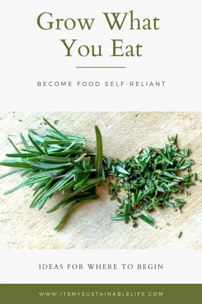 How To Grow What You Eat pin for Pinterest