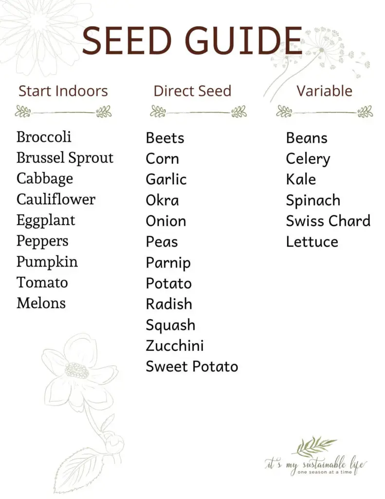 Seed Starting 101 seed guide for growing vegetables from seed