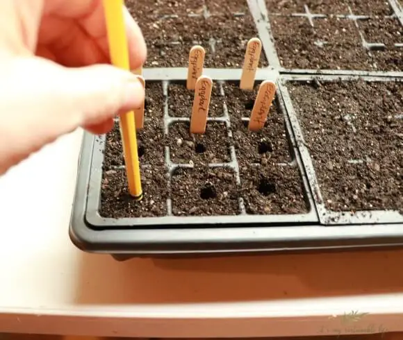 Seed Starting 101 display of using a pencil to create a small hole for planting garden seeds